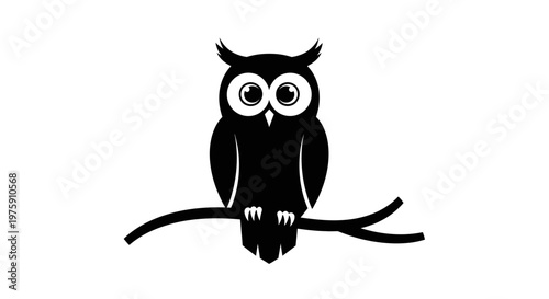 Black and white owl perched on a branch looking forward.