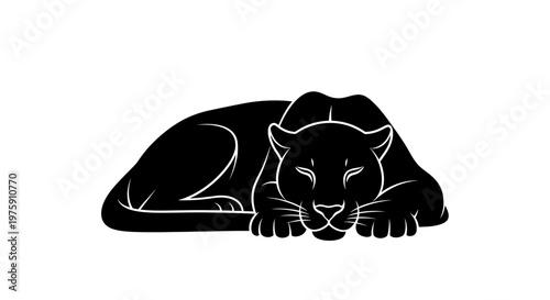 Black panther resting peacefully on a white background.