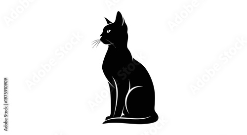 Elegant Black Cat Silhouette with White Whisker Detail.