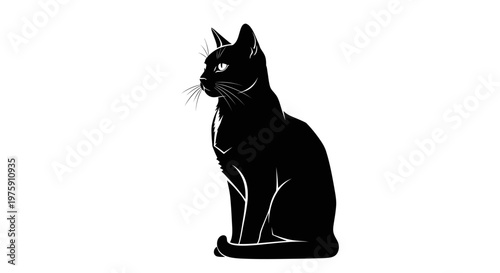 Elegant Black Cat Sitting Gracefully on a White Background.