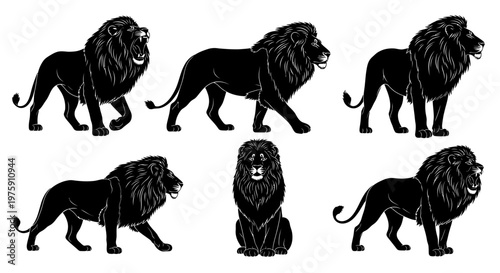Bilde på lerret Majestic black lion silhouettes in various poses on a white background
