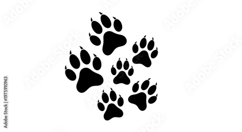 Black paw prints on a white background, showing multiple animal tracks.