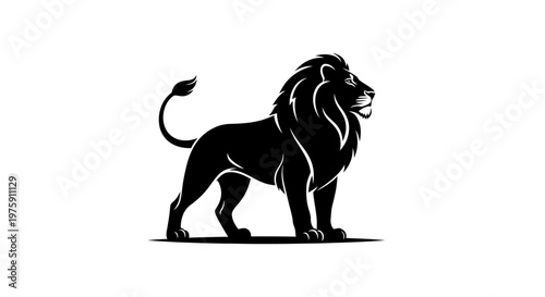 Majestic Black Lion Standing Proudly on White Background.