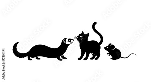 Black silhouettes of a ferret, cat, and mouse on a white background.