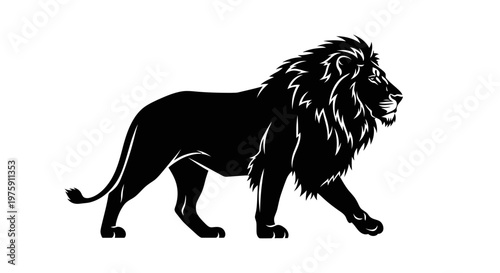 Majestic black lion walking with powerful presence.