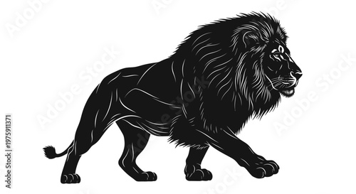 Majestic black lion walking with powerful presence.