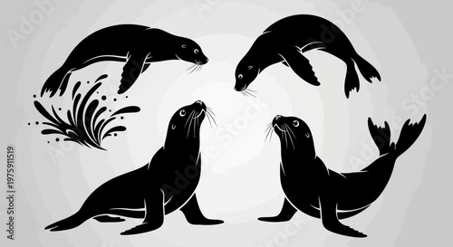Collection of four black silhouettes of seals in various poses.