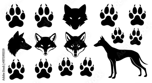 Collection of black silhouettes of wolves, foxes, dogs, and their paw prints.