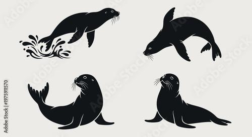 Collection of four black silhouettes of seals in various poses.