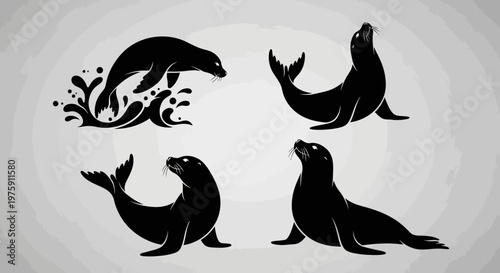 Collection of four distinct black seal silhouettes in various poses.