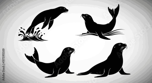 Collection of four distinct black seal silhouettes in various poses.