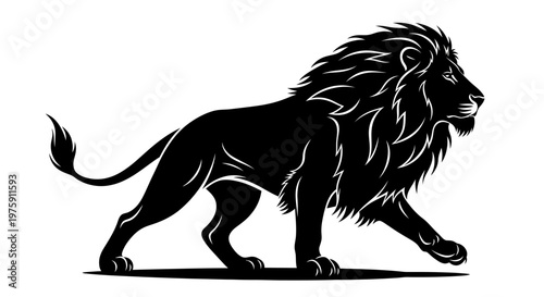 Majestic black lion walking with powerful stride.