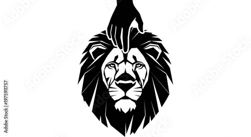 Hand touching a majestic lions head, symbolizing strength and guidance.