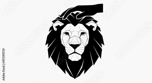 Hand petting a majestic lions head, symbolizing trust and connection.