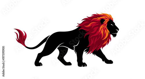 Majestic black lion with fiery red mane walking proudly.