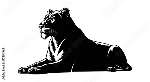 Majestic Black Panther Resting Gracefully on White Background.