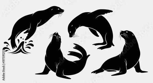 Collection of various sea lion silhouettes in different poses.