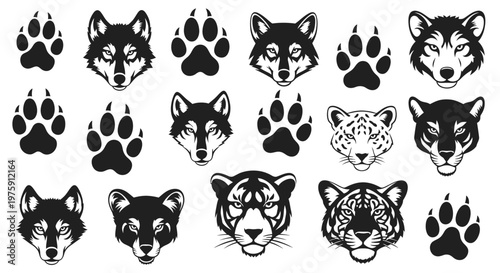 Collection of various wild animal faces and paw prints.