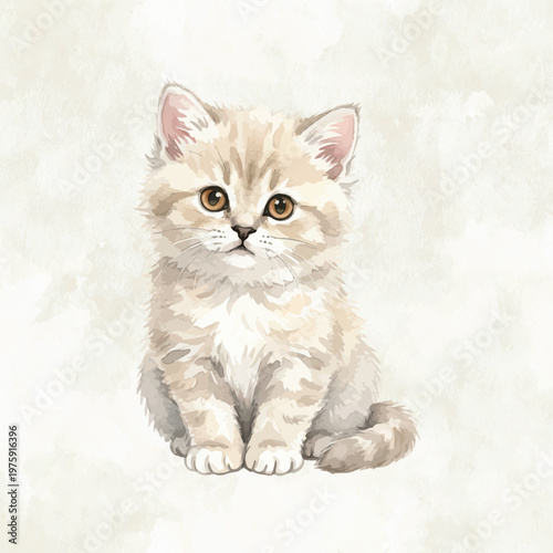 watercolour style fluffy british shorthair kitten sitting cute illustration