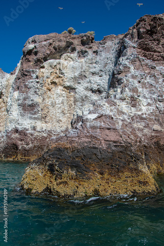 Ria de Puesto Deseado Nature Reserve, Santa Cruz Province, Patagonia, Argentina.