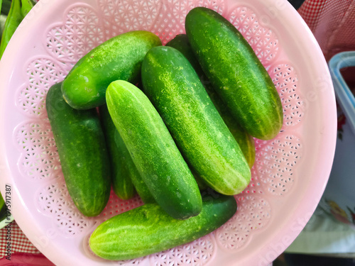 Wallpaper Mural Fresh ketimun cucumbers in a pink colander on a table in Indonesia with green and white tones. Torontodigital.ca