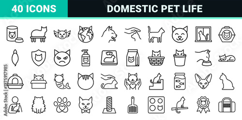 Cat care and pet behavior minimalist line icons