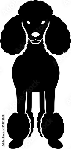 Poodle Silhouette Front View Dog Vector Illustration