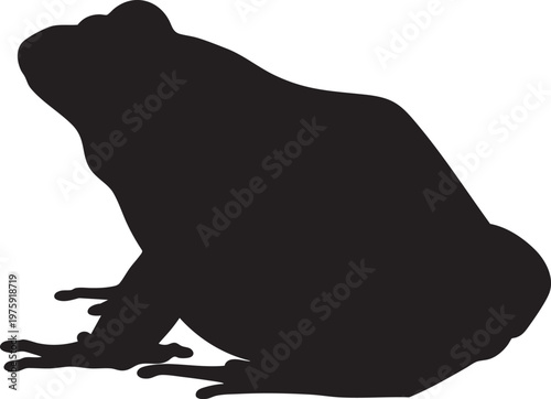 Silhouette of a frog sitting on a surface with black and white, smooth skin