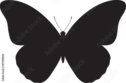 Black silhouette of a butterfly with black and white background isolated