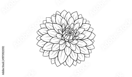Luxury Dahlia Flower Logo with Ornamental Petals for Premium Beauty and Wedding Branding