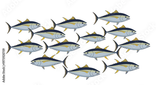 A vibrant school of tuna fish swimming together.