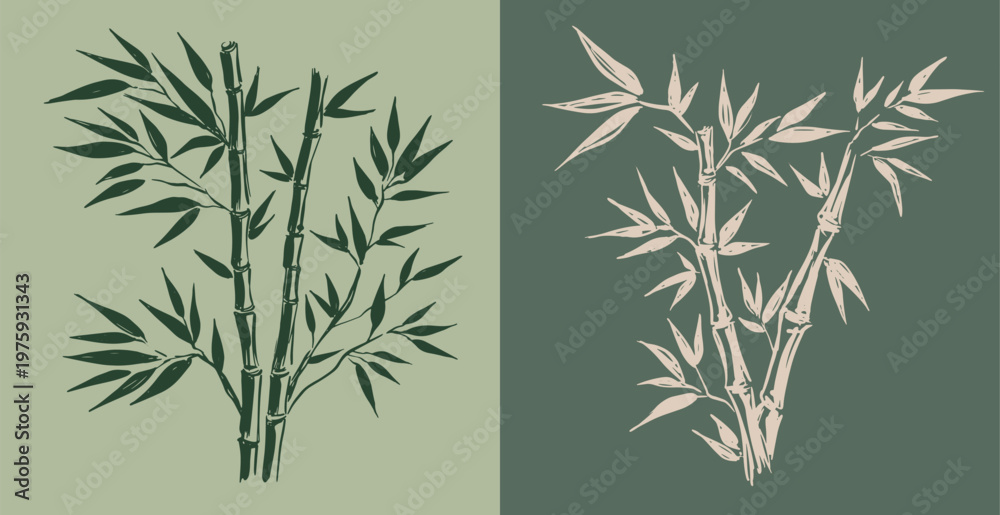 Fototapeta premium Bamboo tree, Hand drawn style.