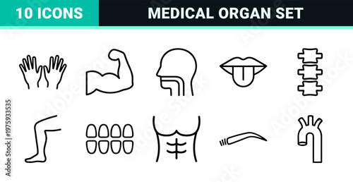 Minimalist human anatomy and organ line icon collection for medical design