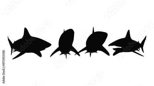 Four shark silhouettes are displayed in a row against a plain white background