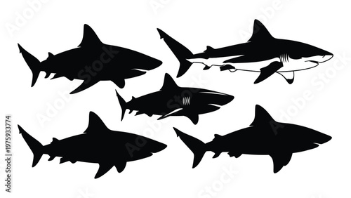 Silhouette illustrations of several sharks swimming in various directions high quality