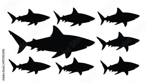 Silhouette depictions of various shark species swimming in a group