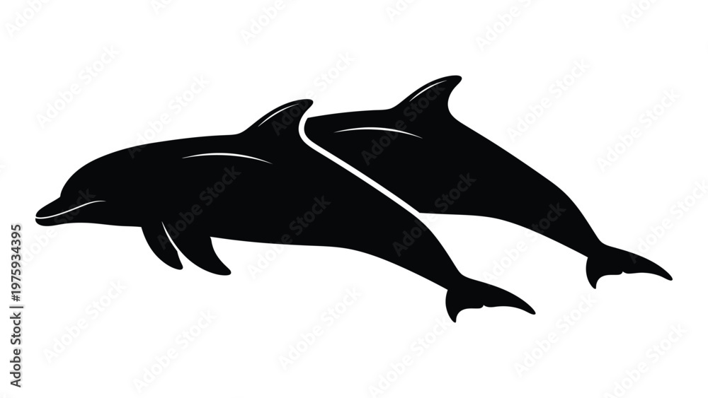 Obraz premium Two sleek dolphins leaping in a dynamic black silhouette illustration