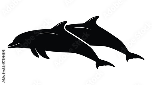 Two sleek dolphins leaping in a dynamic black silhouette illustration