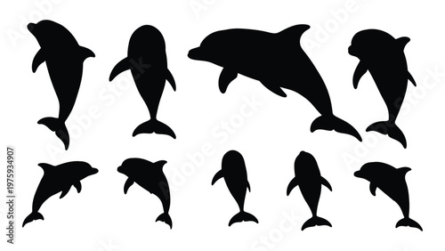 Silhouette illustrations of several dolphins leaping and swimming in various poses
