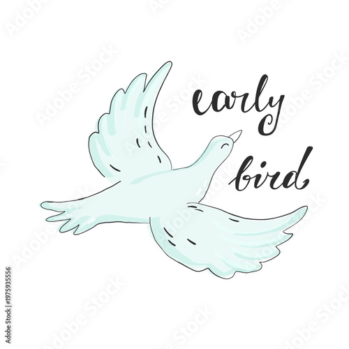 Delicate hand-drawn early bird dove illustration in pastel tones, evoking morning, freedom, optimism and calm for greeting cards, logos, prints, social media and nursery decor art
