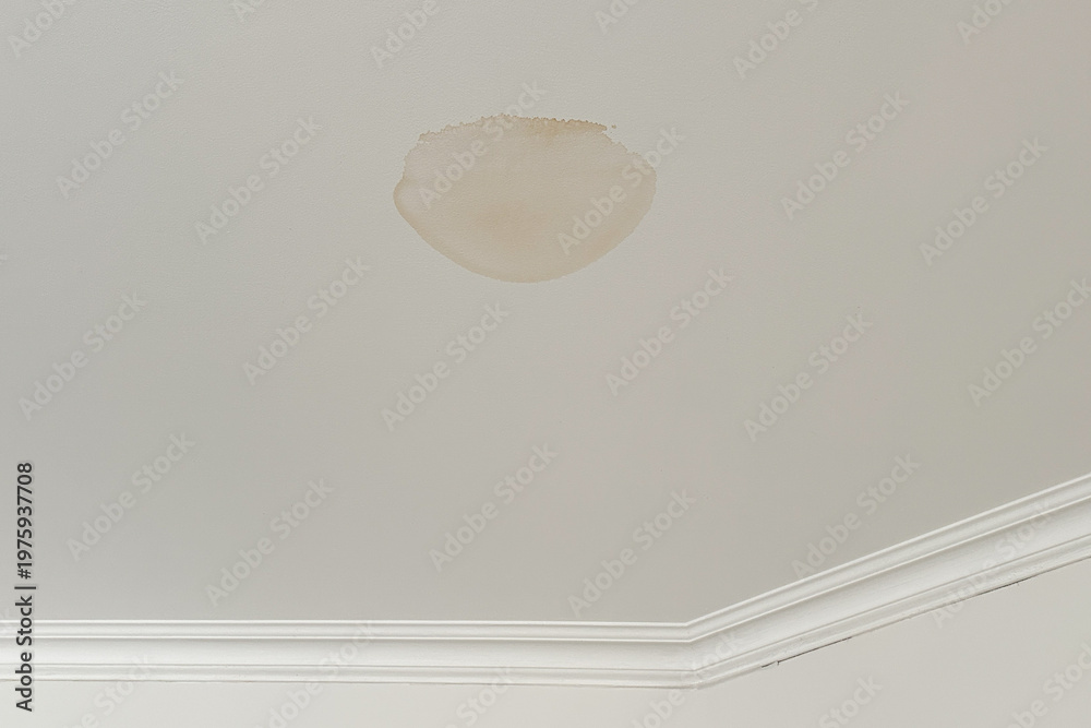 Fototapeta premium Significant brown moisture damage stain on a white residential ceiling from a water leak