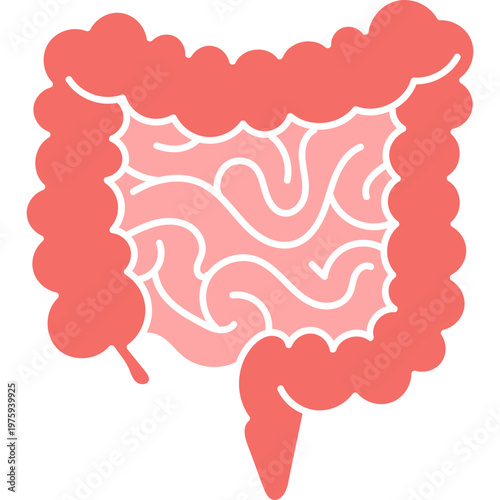 Human Digestive System Vector Illustration