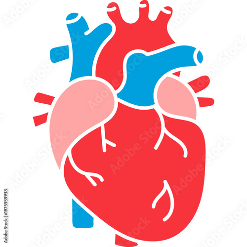 Human heart medical vector illustration