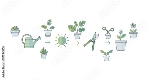 Potted plant lifecycle illustration, showing growth, watering, sunlight, and pruning with gardening tools