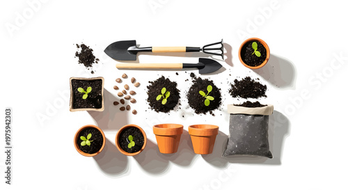 Gardening tools and supplies neatly arranged for planting seeds in soil with small potted plants and gardening gloves