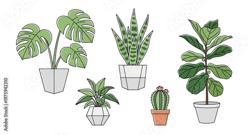A charming collection of popular houseplants in stylish pots, perfect for adding a touch of green and natural beauty to any indoor space, enhancing home decor with botanical flair