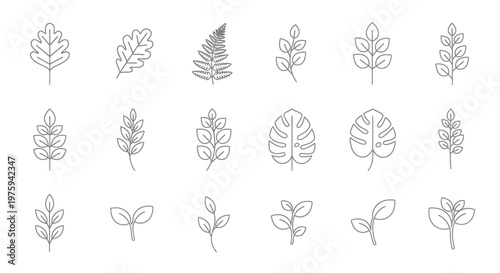 A comprehensive collection of diverse botanical line art leaves and plant sprigs, featuring various shapes and styles for natural design elements and minimalist aesthetics