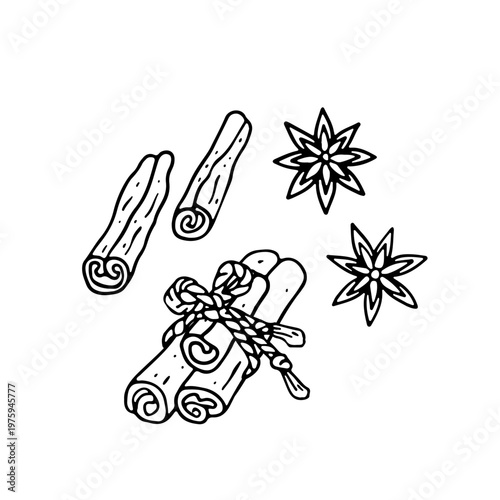 Hand drawn black and white doodle cinnamon and star anise icon. Line art sketch of aromatic spice