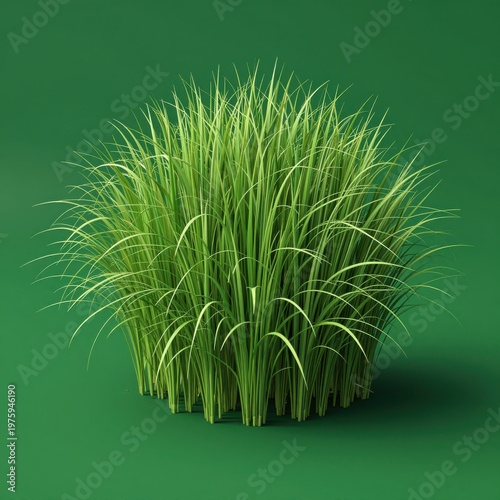 Realistic 3D Illustration of a Lush Green Grass Tuft with Long Slender Blades Isolated on Solid Green Background for Nature Design or Environmental Concept Visualizations