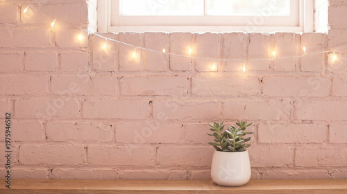 Pink brick wall with string lights and potted succulent plant for home decor and background